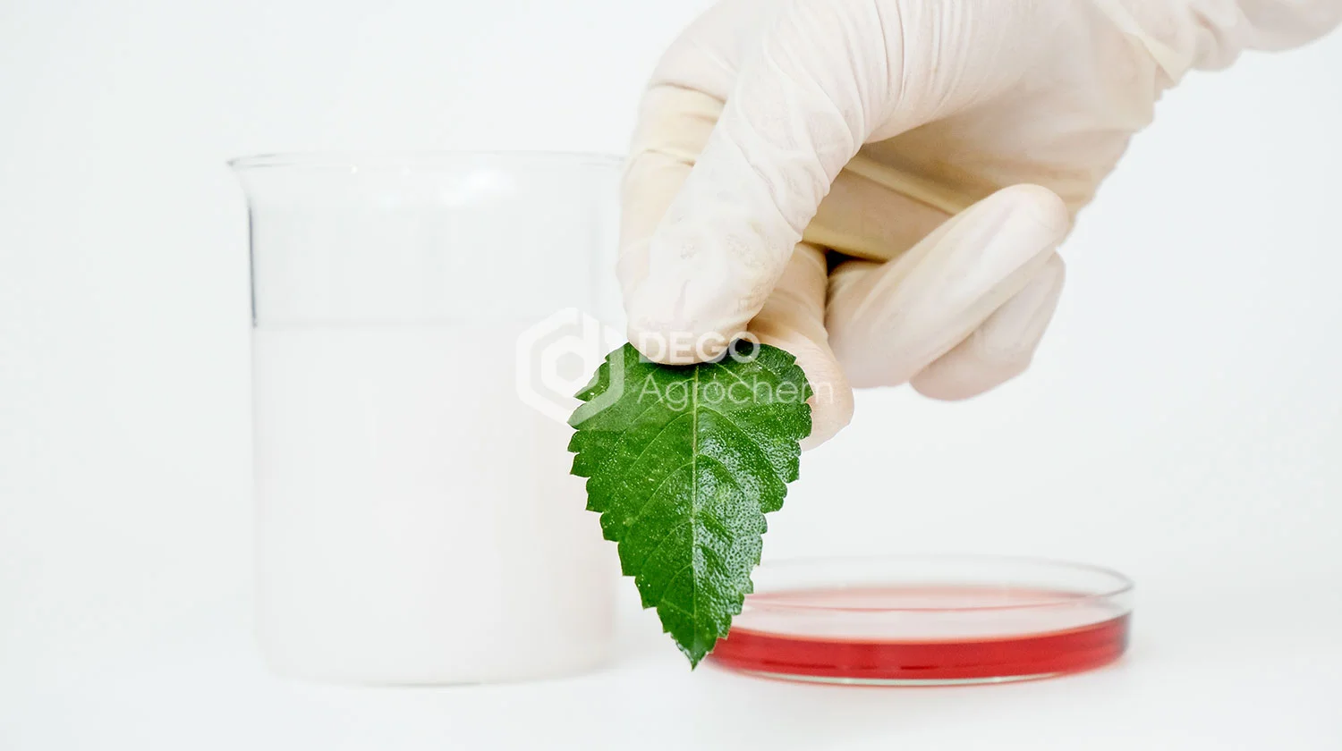 Thuốc trừ sâu Emamectin Benzoate 3.8%